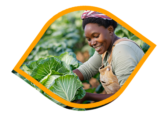 Black farmer working with crops